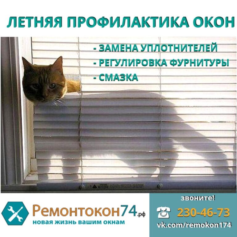 акция